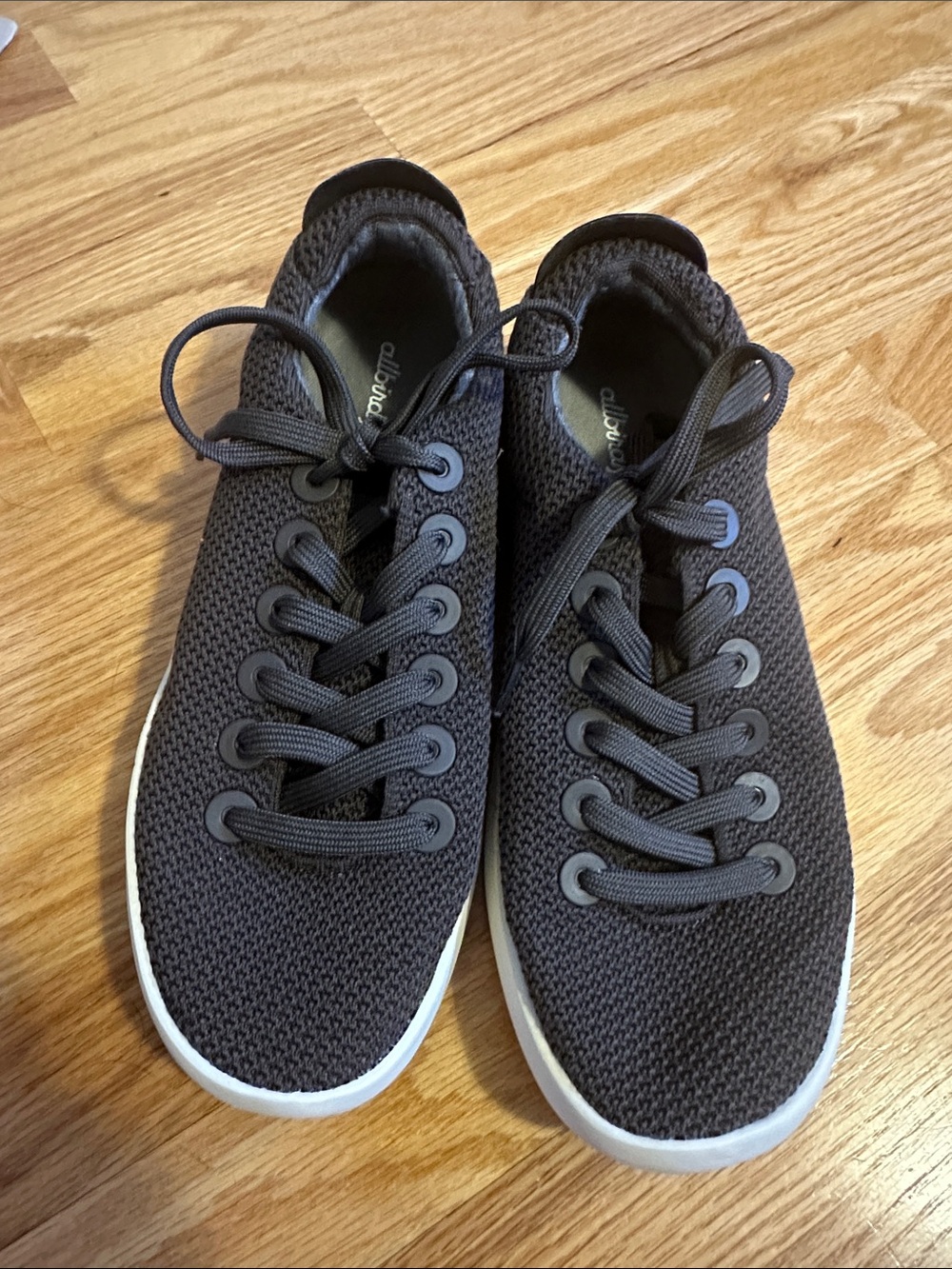 Allbirds Tree Pipers
